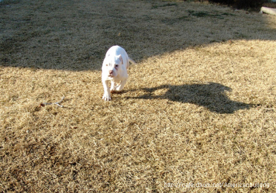 토군 이미지