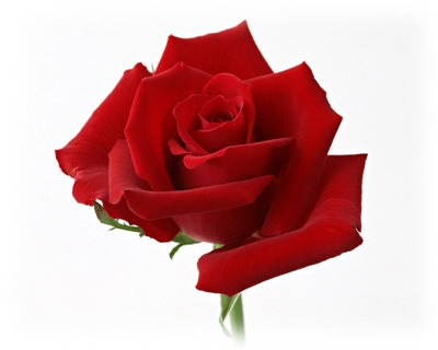 �̹����� Ŭ���ϸ� ������ ���� �� �ֽ��ϴ�.