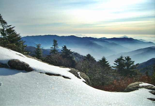 지리산서바이벌 이미지