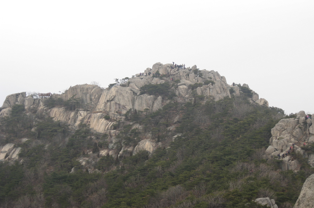 �̹����� Ŭ���ϸ� ������ ���� �� �ֽ��ϴ�.