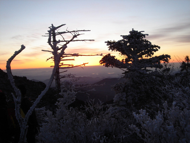지리산서바이벌 이미지