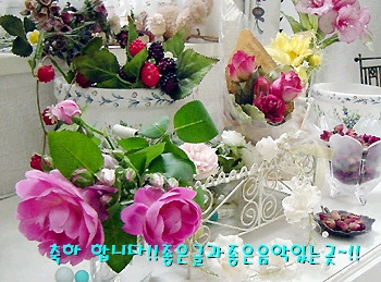 미해 이미지