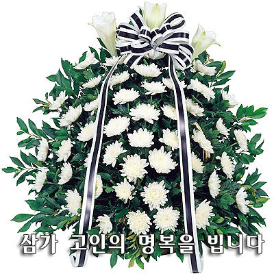 백*진 이미지
